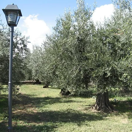 Nel Castello * Fontignano