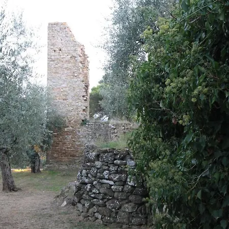 Nel Castello